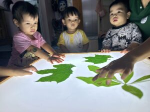 Mầm non Việt An - Quan sát lá cây
