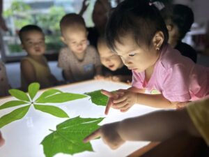 Mầm non Việt An - Quan sát lá cây